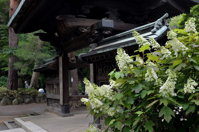 b0131167_21492182.jpg