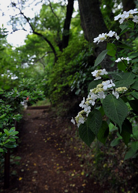 b0131167_21512342.jpg