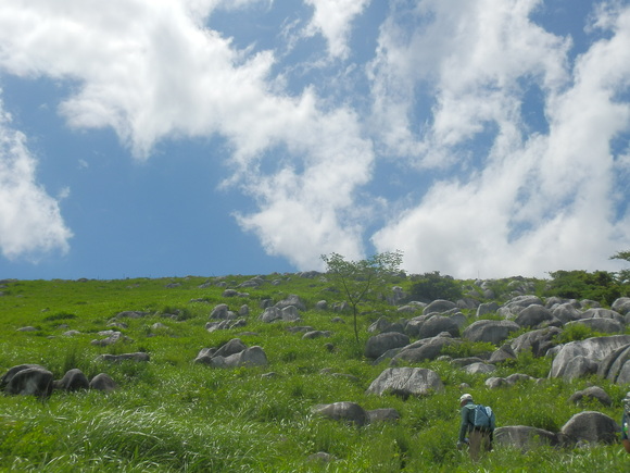 c0042869_22284642.jpg