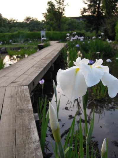 c0122670_2274092.jpg