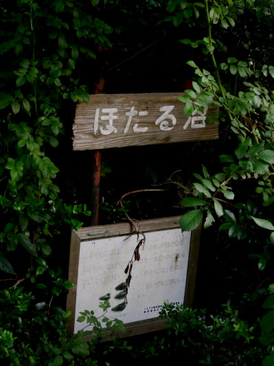 c0122670_2292223.jpg