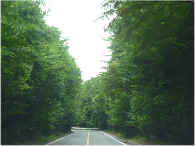 e0165577_1020453.jpg