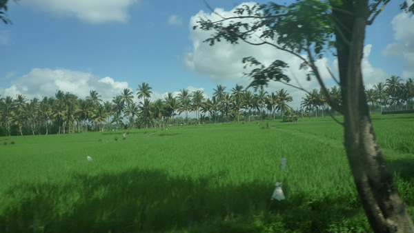 e0024081_9232479.jpg