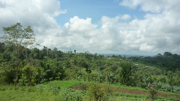 e0024081_9292299.jpg