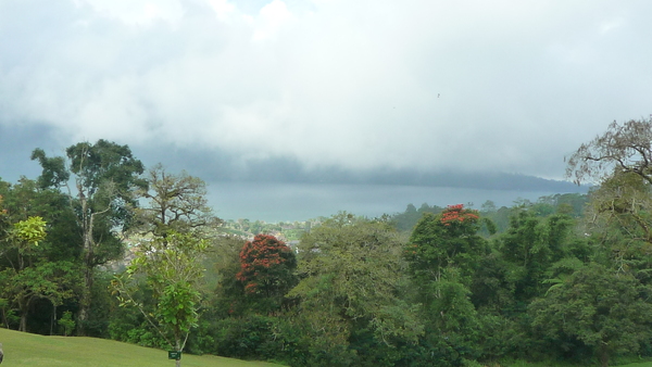 e0024081_957380.jpg