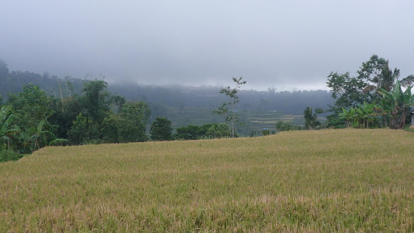 e0024081_9582769.jpg