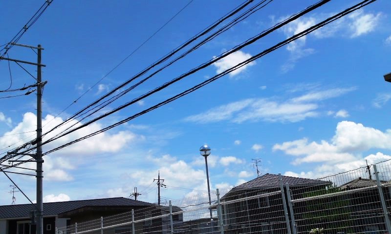 a0165483_8521820.jpg