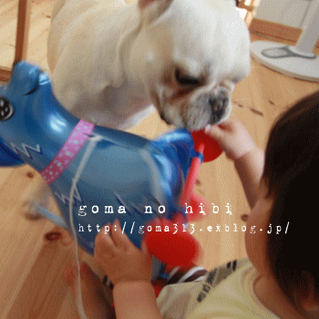 b0180085_21243263.gif