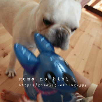 b0180085_21245468.gif