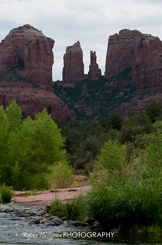 e0148185_1458529.jpg