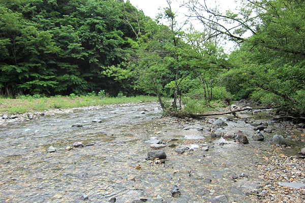 b0169489_15203184.jpg