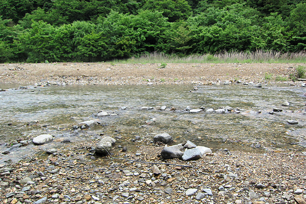 b0169489_15204090.jpg