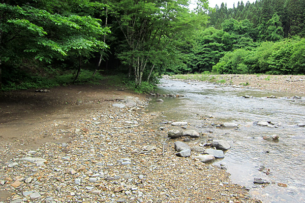 b0169489_1520865.jpg