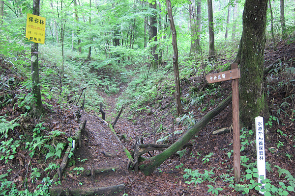 b0169489_1521170.jpg