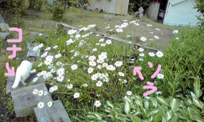 c0206596_1822437.jpg