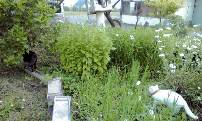 c0206596_18242969.jpg