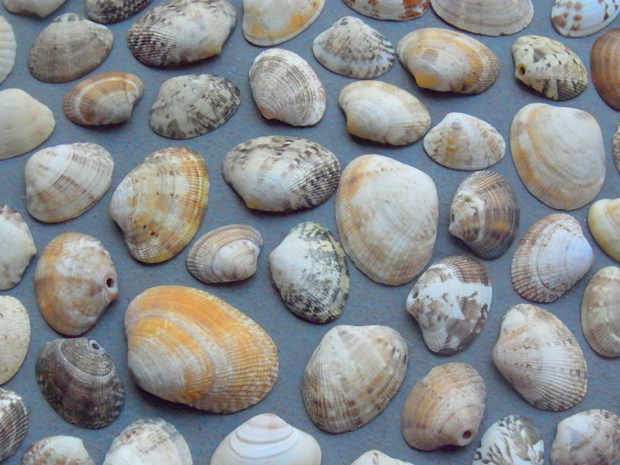 c0226214_6311271.jpg