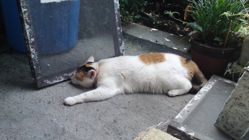 e0097018_0292282.jpg