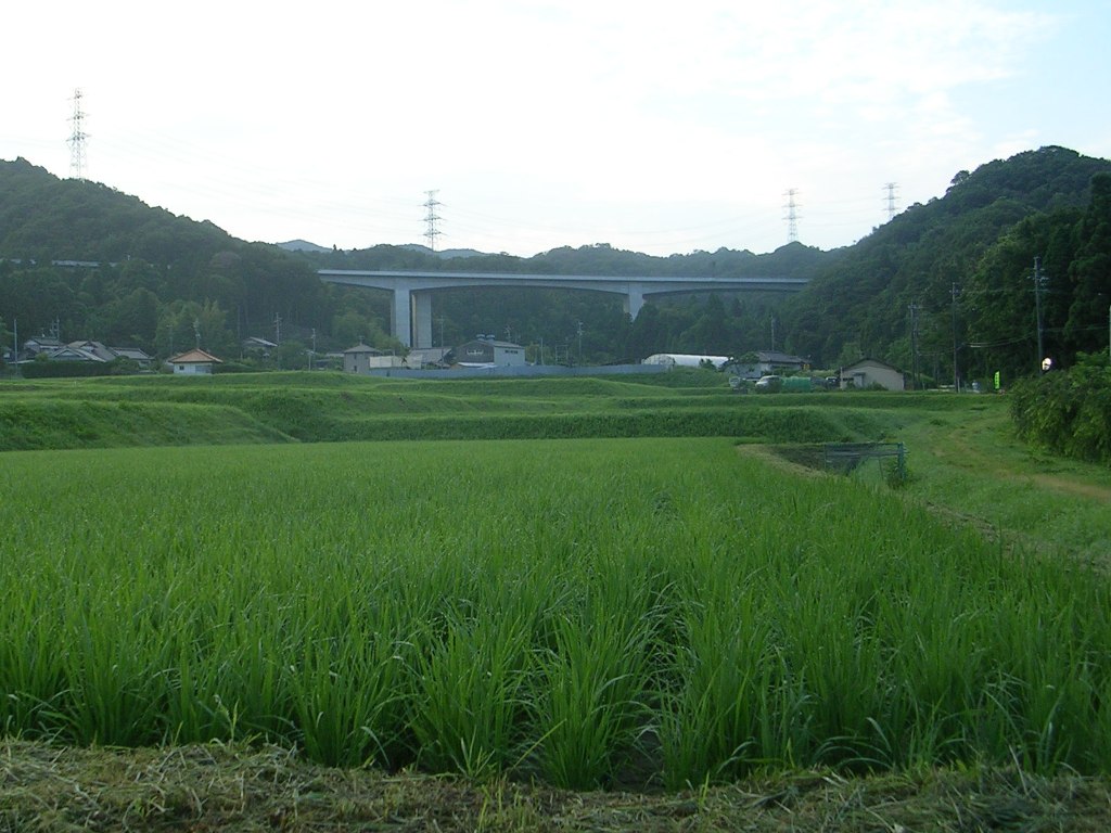 d0181824_119252.jpg