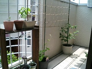 b0224629_1292778.jpg