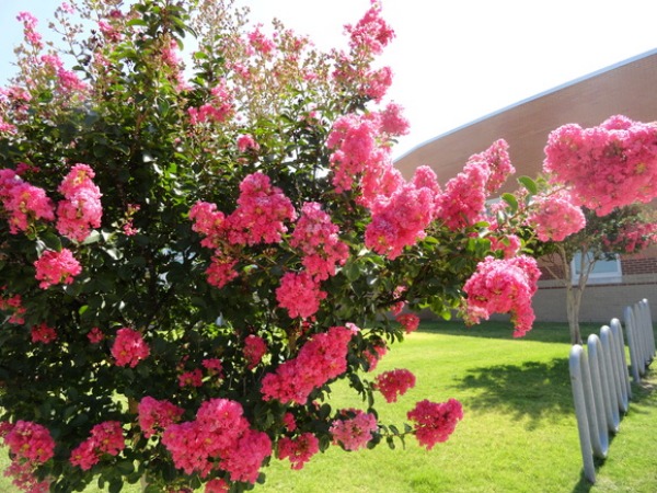 f0238932_5284016.jpg