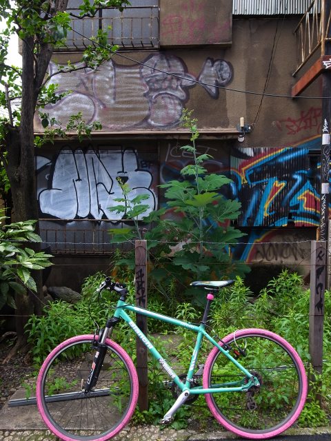 a0087341_2151207.jpg