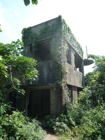 b0041442_166335.jpg