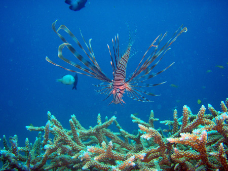 f0014842_20374319.jpg
