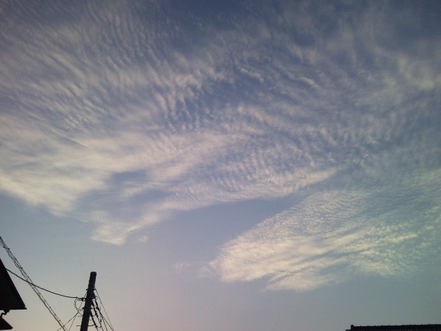e0150843_2332413.jpg