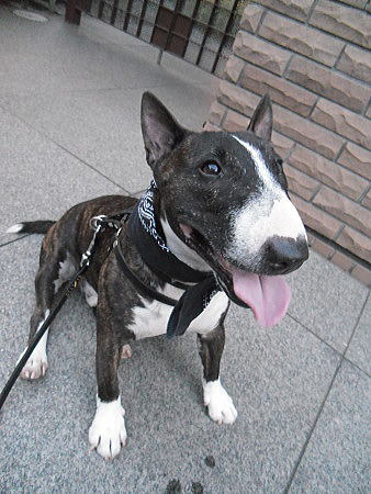 f0094843_0474963.jpg
