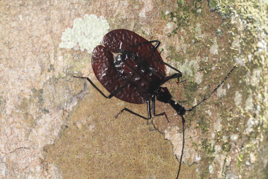 a0094850_16571448.jpg