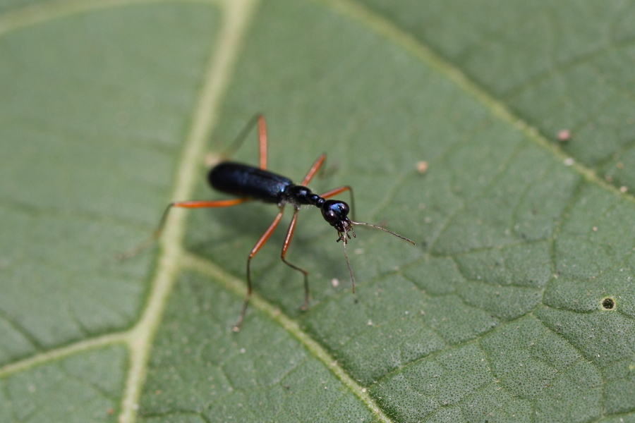 a0094850_1672560.jpg