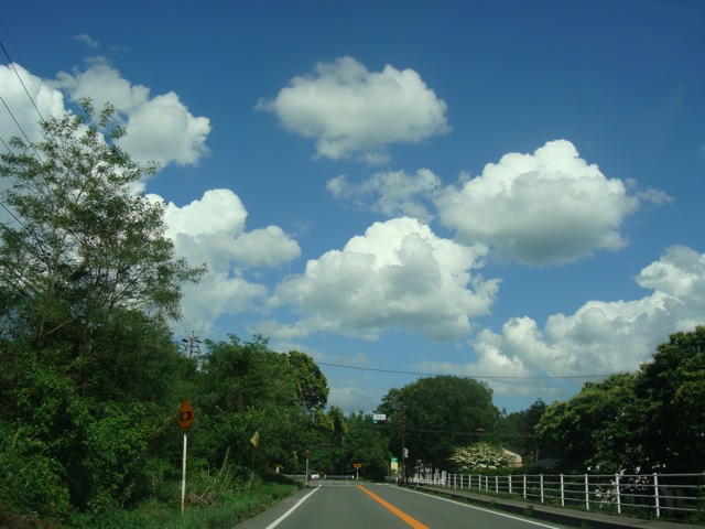 f0198556_2128083.jpg