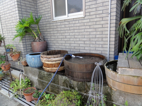 c0108460_15593395.jpg