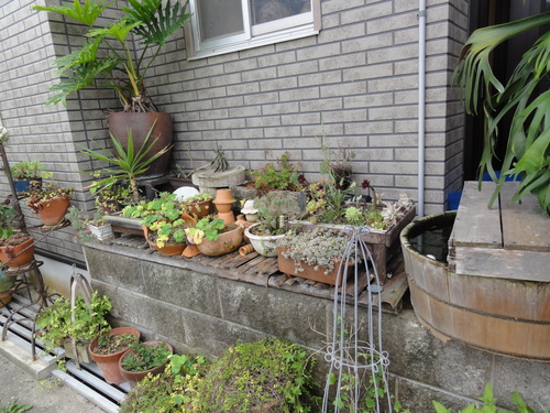 c0108460_1559949.jpg