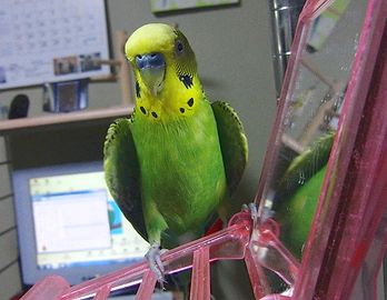 f0196665_233562.jpg
