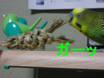 f0196665_2343462.jpg