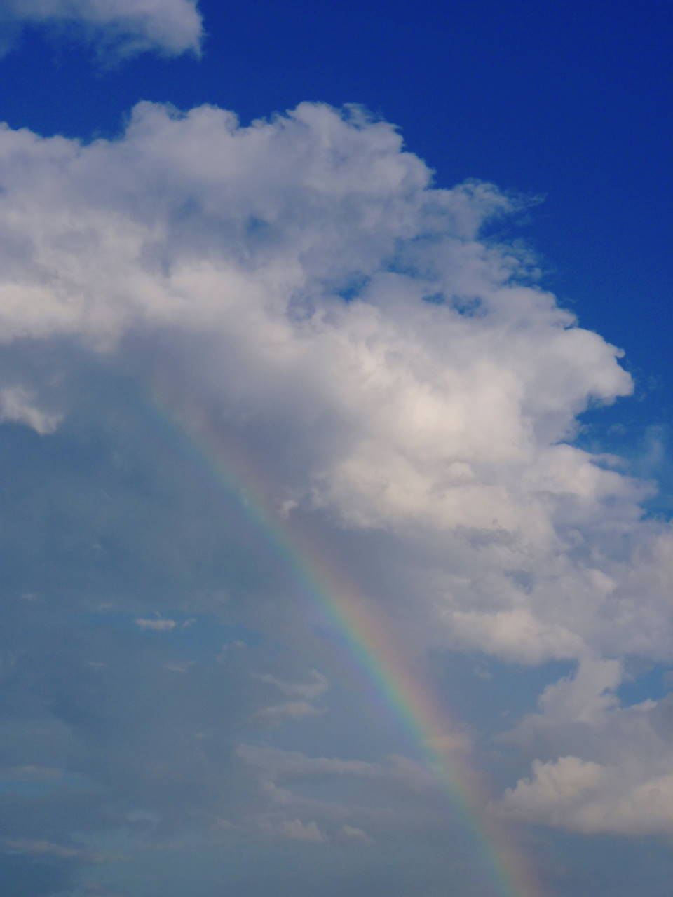 b0222467_123239100.jpg
