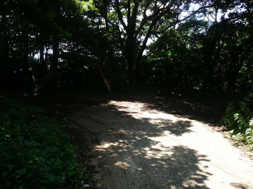 a0154870_12341635.jpg