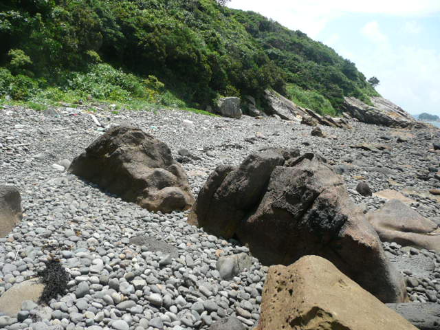 a0154870_12451865.jpg