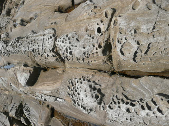 a0154870_12484519.jpg