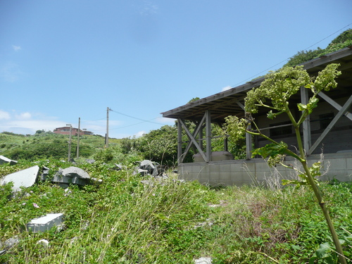 a0154870_12534021.jpg