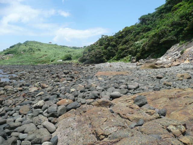 a0154870_1321434.jpg
