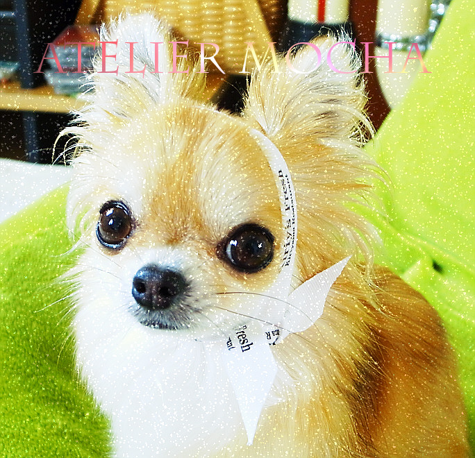 c0026870_741591.jpg