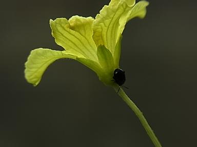 b0185771_23533256.jpg