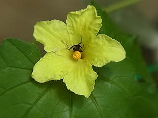 b0185771_23534380.jpg