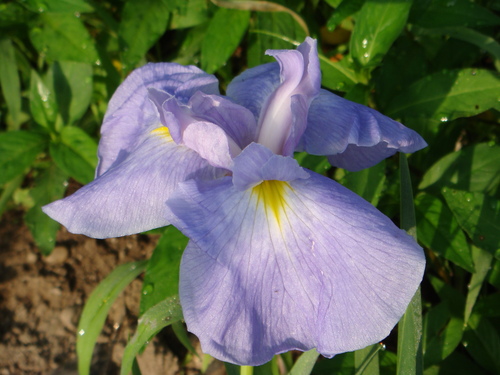 f0231573_21465295.jpg