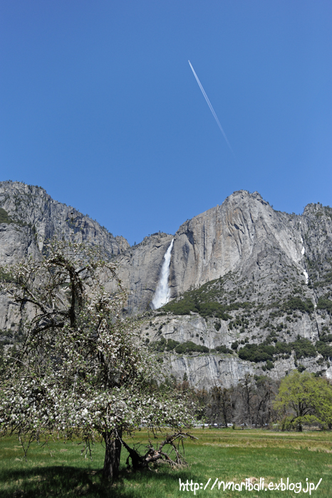 b0154385_19181410.jpg