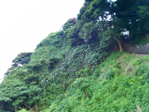 b0169887_171278.jpg