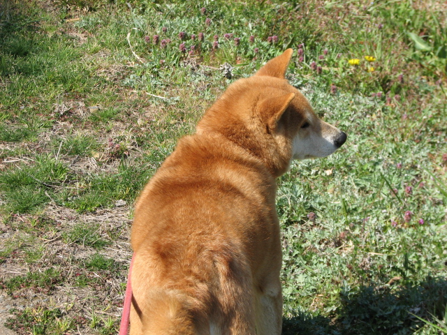 e0052690_5314959.jpg